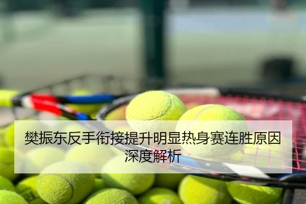 樊振东反手衔接提升明显热身赛连胜原因深度解析