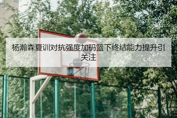 杨瀚森夏训对抗强度加码篮下终结能力提升引关注